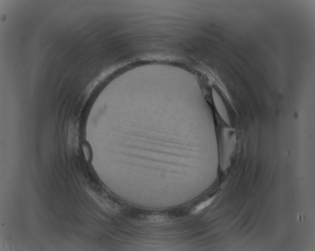 X0000087400204200705181341