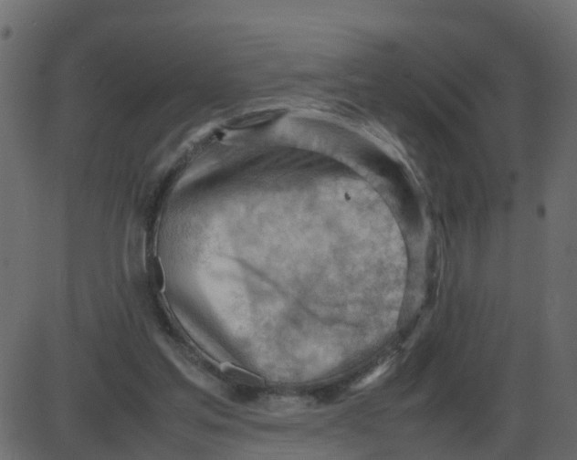 X0000087400205200705181341