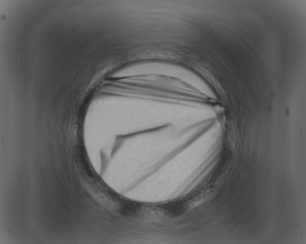 X0000087400207200705181341