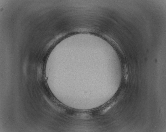 X0000087400208200705181341