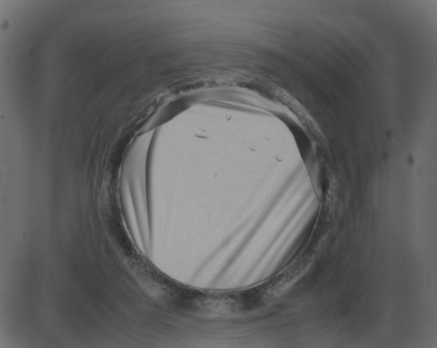 X0000087400209200705181341