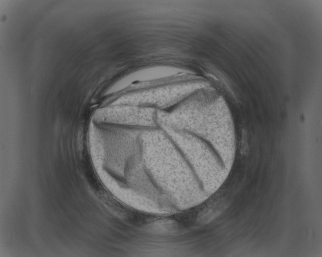 X0000087400210200705181341