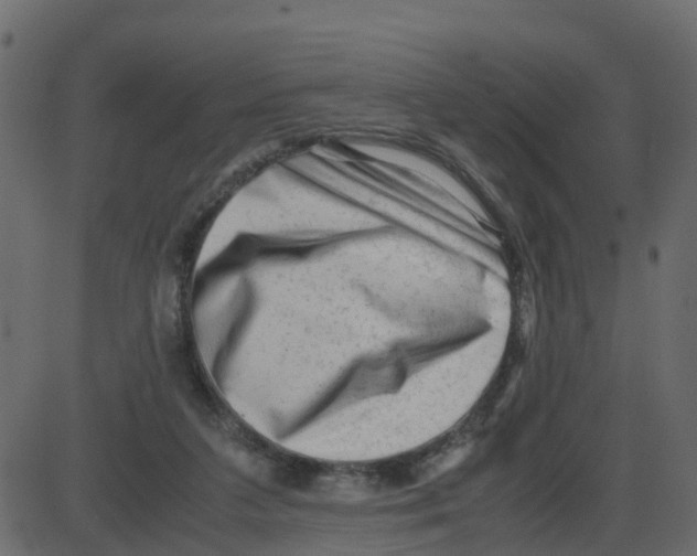 X0000087400211200705181341