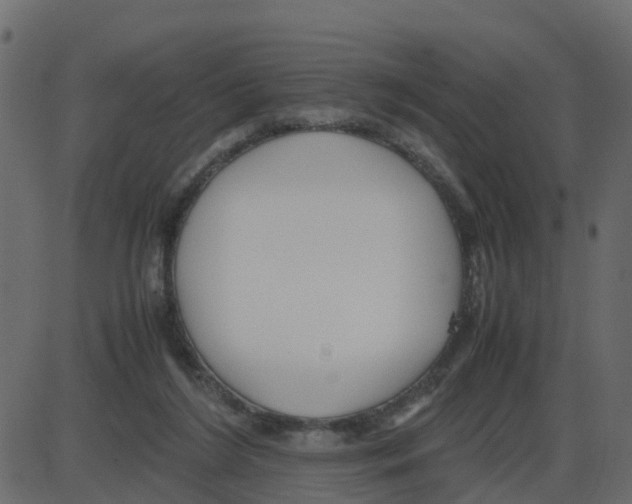 X0000087400212200705181340