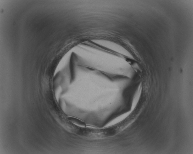 X0000087400213200705181340