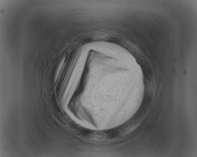 X0000087400215200705181340