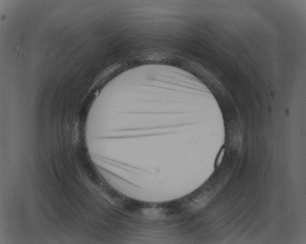 X0000087400216200705181340