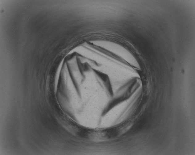 X0000087400217200705181340