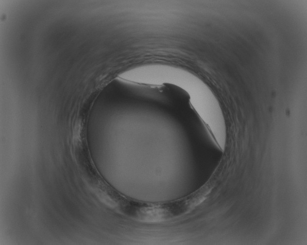 X0000087400219200705181340