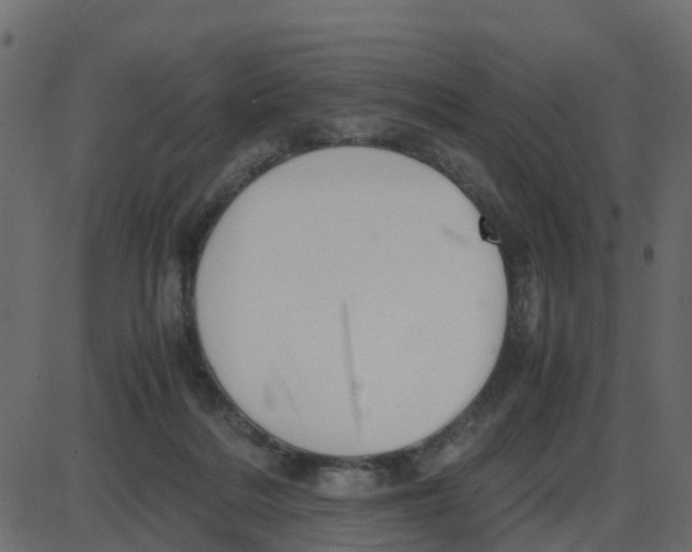 X0000087400220200705181340