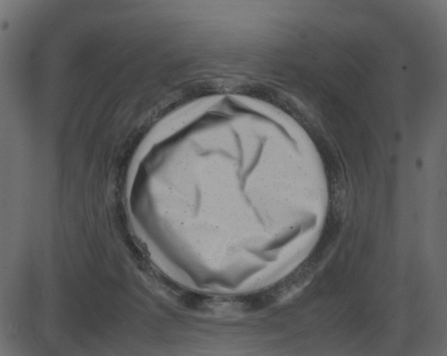 X0000087400221200705181340