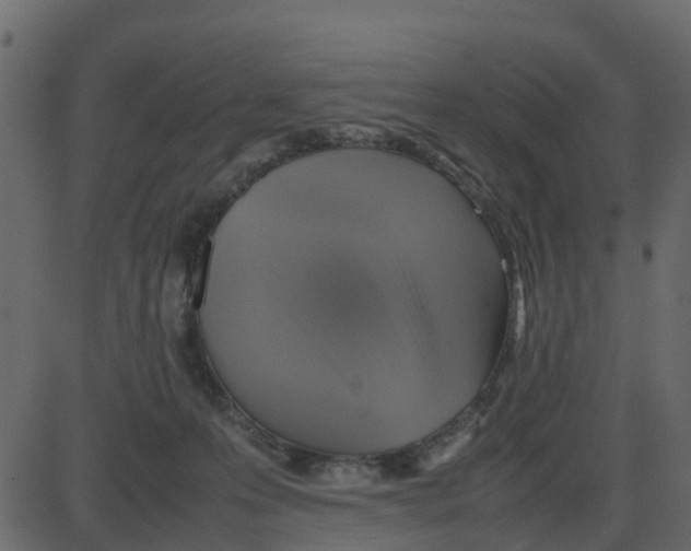 X0000087400223200705181340