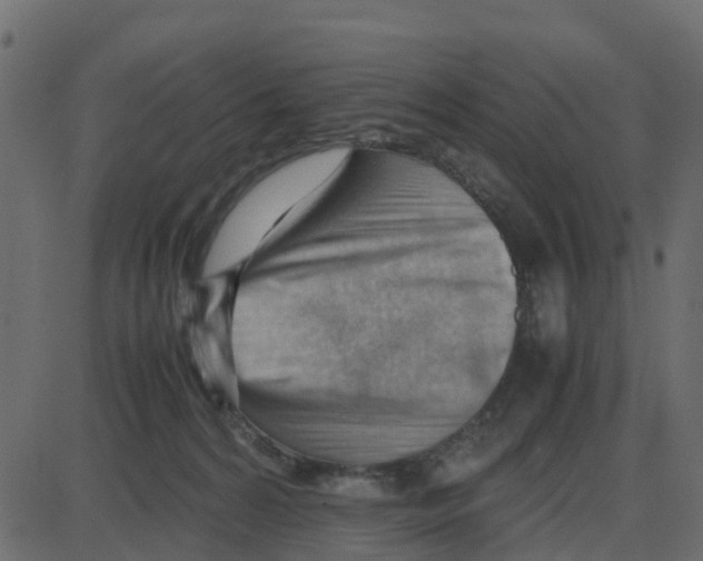 X0000087400224200705181340