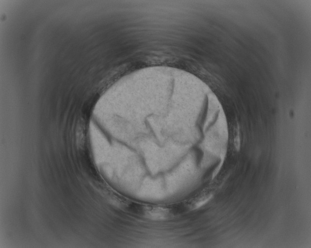 X0000087400226200705181340