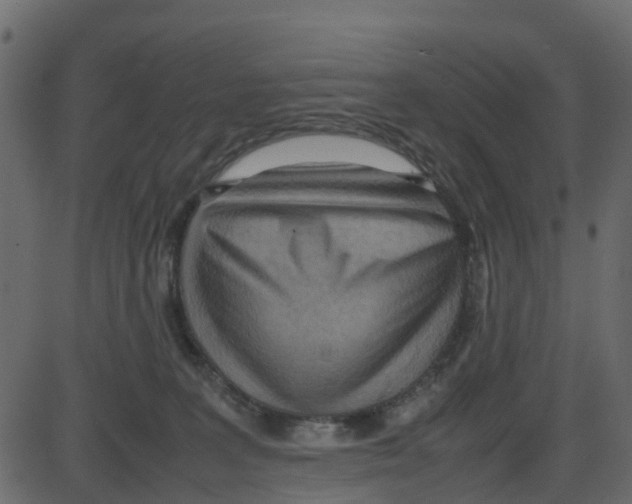 X0000087400227200705181340