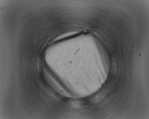 X0000087400228200705181340