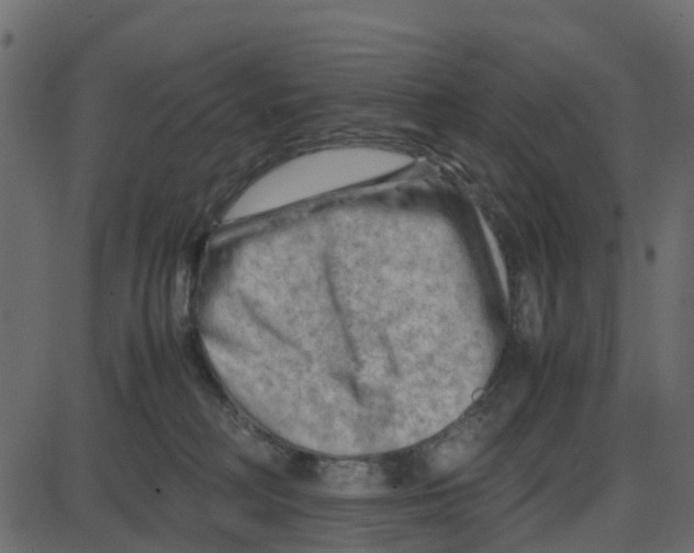 X0000087400230200705181340