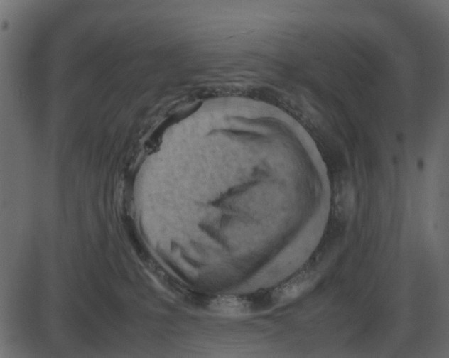 X0000087400231200705181340