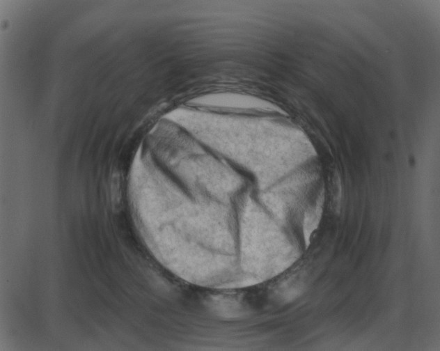 X0000087400232200705181340