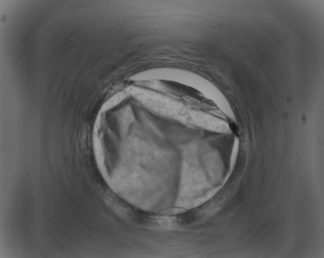 X0000087400233200705181340