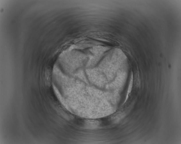 X0000087400234200705181340