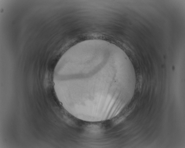 X0000087400236200705181340