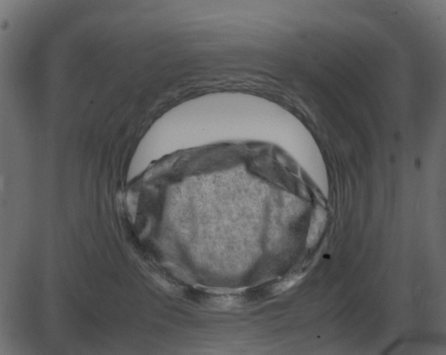 X0000087400237200705181340