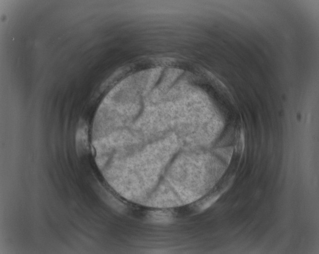 X0000087400238200705181340