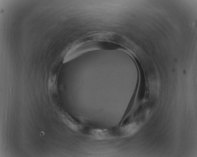 X0000087400239200705181340