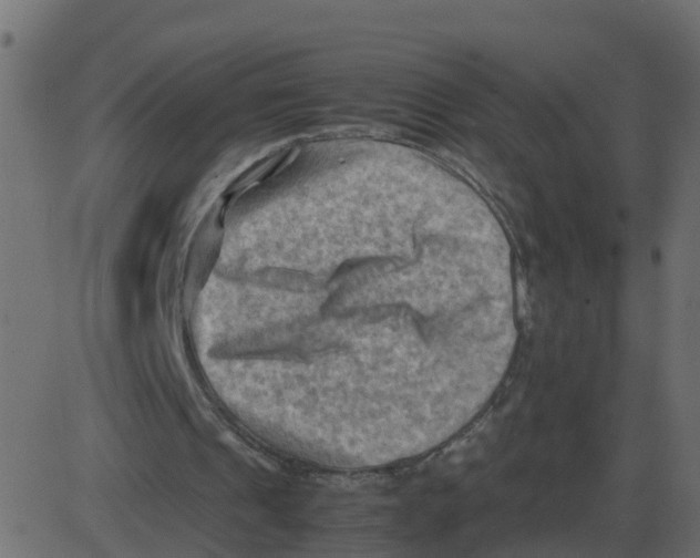 X0000087400241200705181339