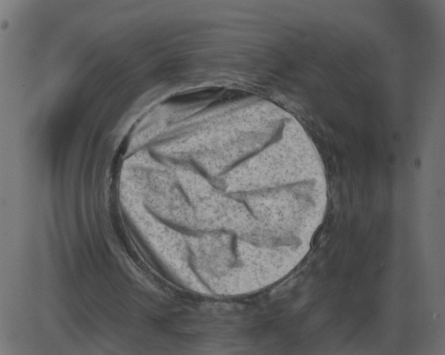 X0000087400242200705181339