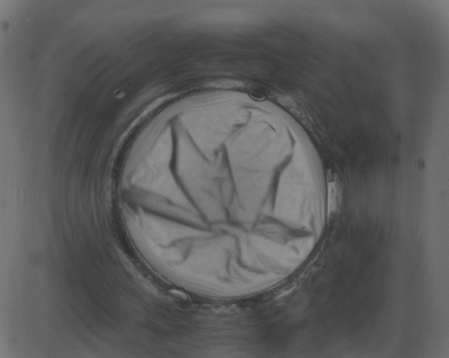 X0000087400243200705181339