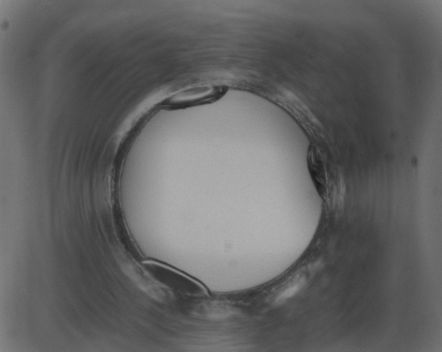 X0000087400244200705181339