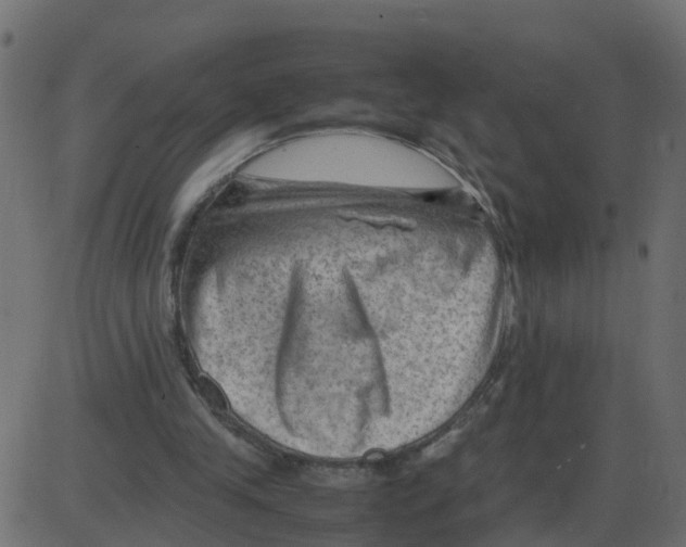 X0000087400245200705181339