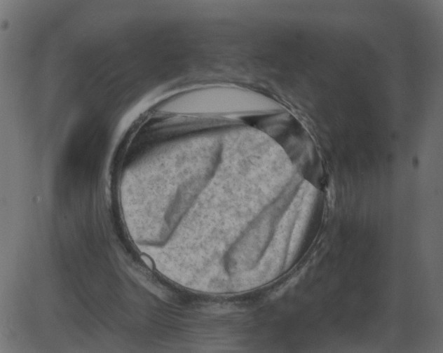 X0000087400246200705181339