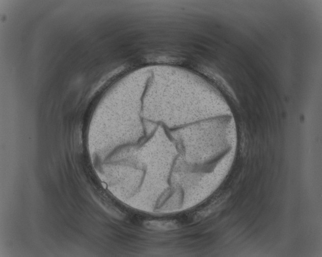 X0000087400251200705181339