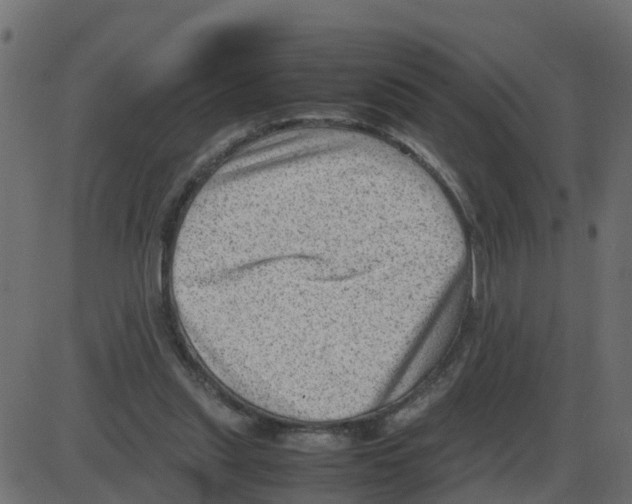 X0000087400253200705181339