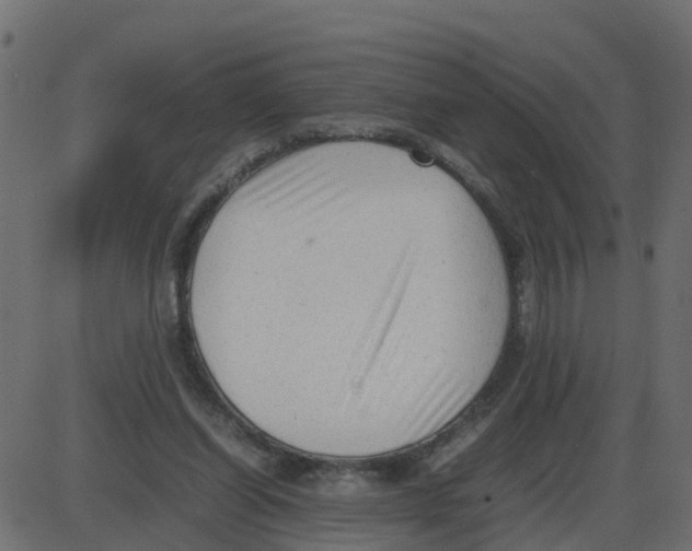 X0000087400254200705181339