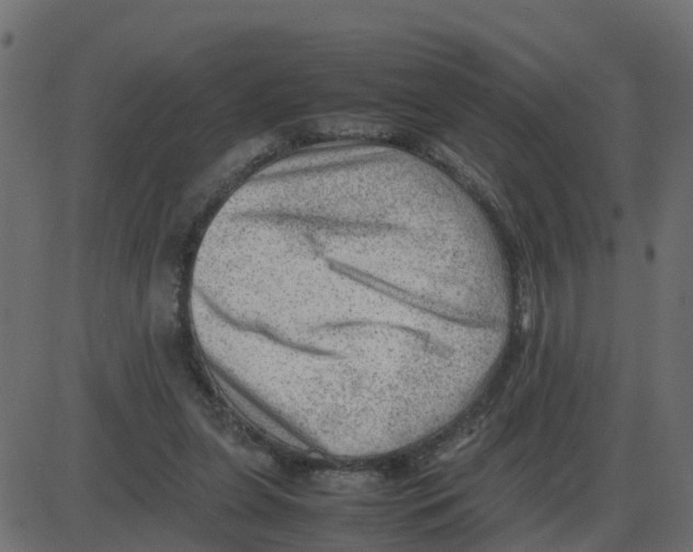 X0000087400255200705181339