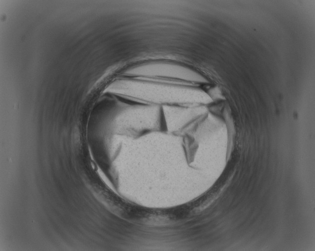 X0000087400256200705181339