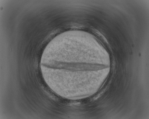 X0000087400257200705181340