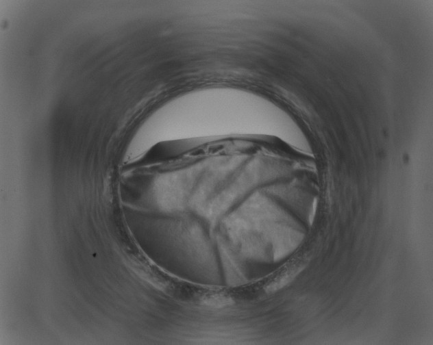 X0000087400258200705181340