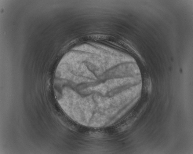 X0000087400259200705181340