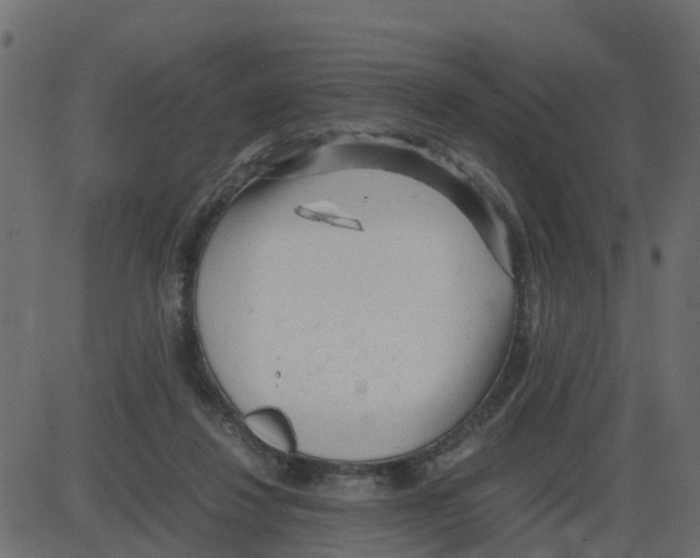 X0000087400260200705181340