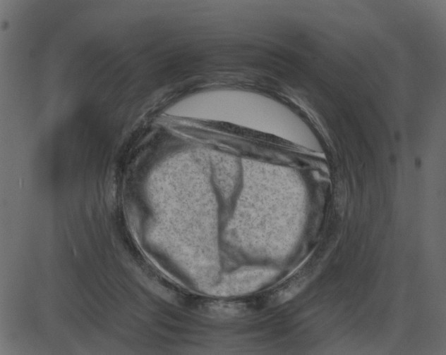 X0000087400261200705181340