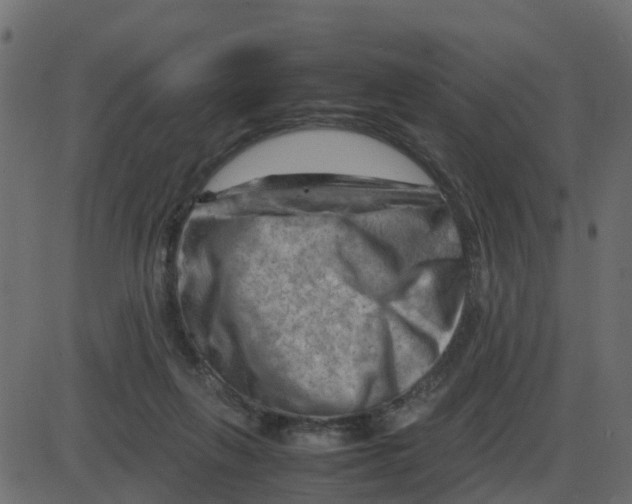 X0000087400263200705181340