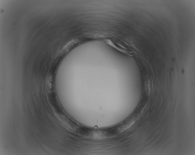 X0000087400264200705181340