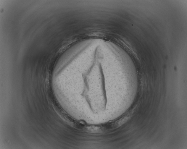 X0000087400265200705181340