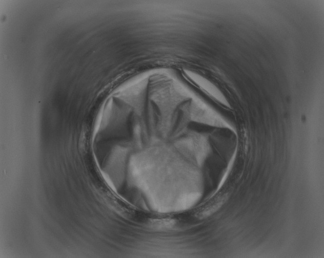 X0000087400266200705181340