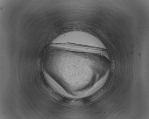 X0000087400270200705181340